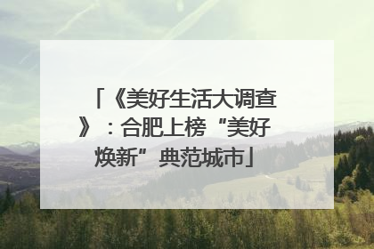 《美好生活大调查》：合肥上榜“美好焕新”典范城市