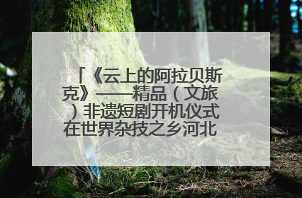《云上的阿拉贝斯克》——精品（文旅）非遗短剧开机仪式在世界杂技之乡河北吴桥成功举办