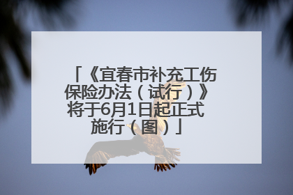 《宜春市补充工伤保险办法（试行）》将于6月1日起正式施行（图）