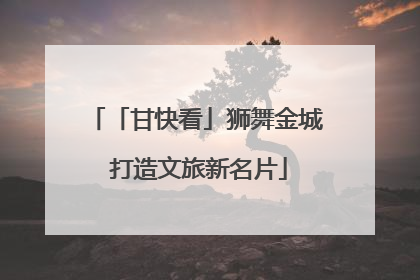 「甘快看」狮舞金城 打造文旅新名片