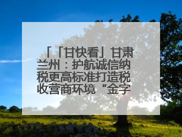 「甘快看」甘肃兰州：护航诚信纳税更高标准打造税收营商环境“金字招牌”
