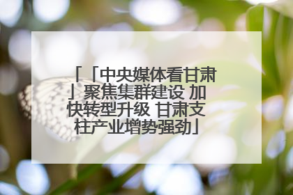 「中央媒体看甘肃」聚焦集群建设 加快转型升级 甘肃支柱产业增势强劲