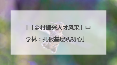 「乡村振兴人才风采」申学林：扎根基层践初心