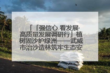 「强信心 看发展·高质量发展调研行」植树固沙护绿洲——武威市治沙造林筑牢生态安全屏障见闻