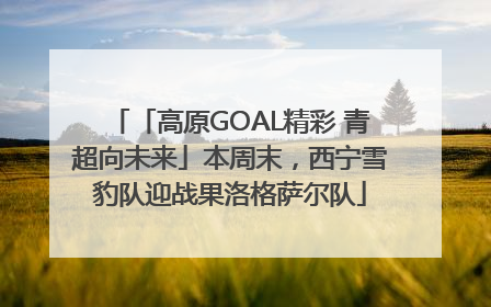 「高原GOAL精彩 青超向未来」本周末，西宁雪豹队迎战果洛格萨尔队