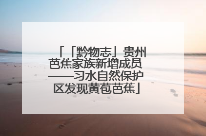 「黔物志」贵州芭蕉家族新增成员——习水自然保护区发现黄苞芭蕉