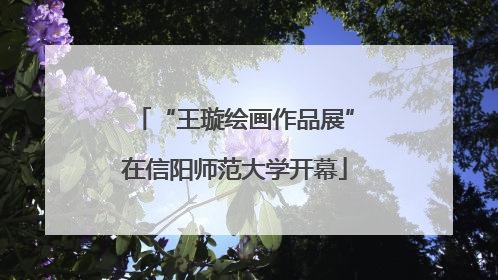 “王璇绘画作品展”在信阳师范大学开幕