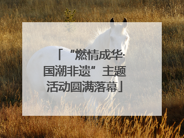 “燃情成华·国潮非遗”主题活动圆满落幕