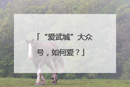 “爱武城”大众号，如何爱？