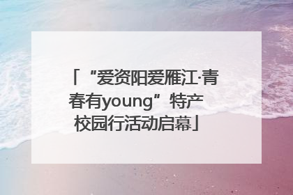 “爱资阳爱雁江·青春有young”特产校园行活动启幕