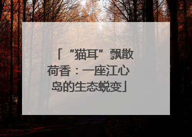 “猫耳”飘散荷香：一座江心岛的生态蜕变