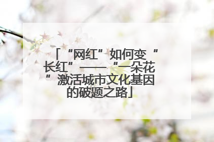 “网红”如何变“长红”——“一朵花”激活城市文化基因的破题之路