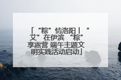 “粽”情洛阳丨“艾”在伊滨 “粽”享露营 端午主题文明实践活动启动