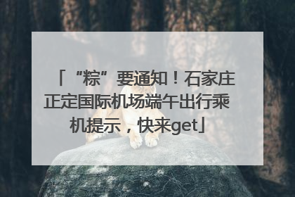 “粽”要通知！石家庄正定国际机场端午出行乘机提示，快来get