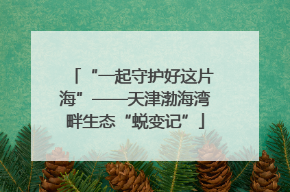 “一起守护好这片海”——天津渤海湾畔生态“蜕变记”