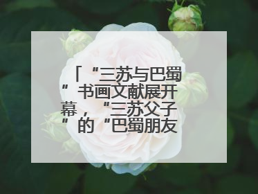 “三苏与巴蜀”书画文献展开幕，“三苏父子”的“巴蜀朋友圈”人物亮相