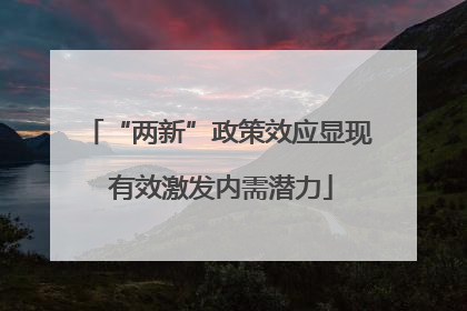 “两新”政策效应显现 有效激发内需潜力