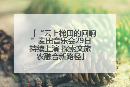 “云上梯田的回响”麦田音乐会29日持续上演 探索文旅农融合新路径