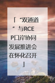 “双通道”与RCEP口岸协同发展推进会在怀化召开
