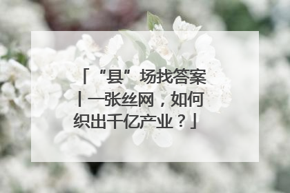 “县”场找答案丨一张丝网，如何织出千亿产业？