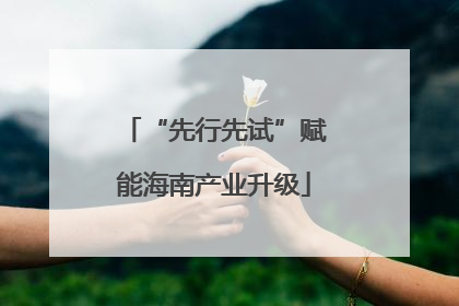 “先行先试”赋能海南产业升级