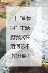 “动物园”主题摄影展在清河艺术馆开展