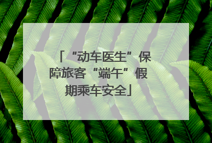 “动车医生”保障旅客“端午”假期乘车安全