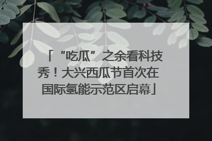 “吃瓜”之余看科技秀！大兴西瓜节首次在国际氢能示范区启幕