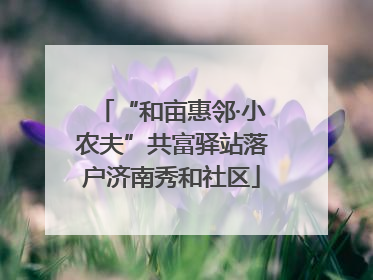 “和亩惠邻·小农夫”共富驿站落户济南秀和社区