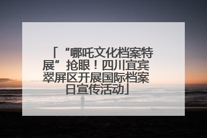 “哪吒文化档案特展”抢眼！四川宜宾翠屏区开展国际档案日宣传活动