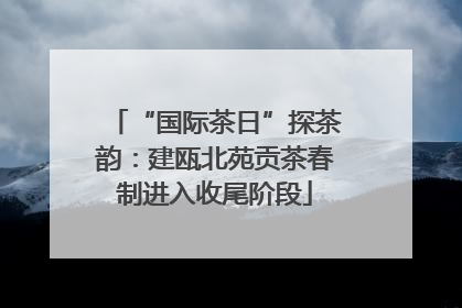 “国际茶日”探茶韵：建瓯北苑贡茶春制进入收尾阶段
