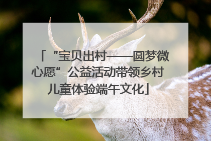 “宝贝出村——圆梦微心愿”公益活动带领乡村儿童体验端午文化