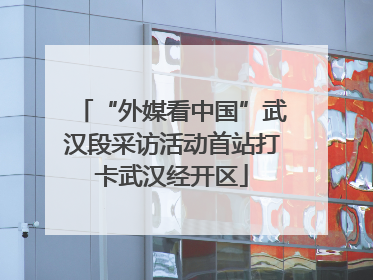 “外媒看中国”武汉段采访活动首站打卡武汉经开区