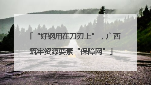 “好钢用在刀刃上”，广西筑牢资源要素“保障网”