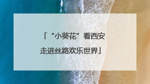 “小葵花”看西安走进丝路欢乐世界
