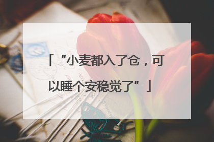 “小麦都入了仓，可以睡个安稳觉了”