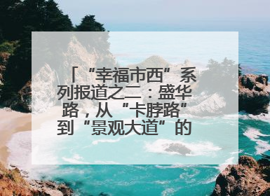 “幸福市西”系列报道之二：盛华路，从“卡脖路”到“景观大道”的华丽转身
