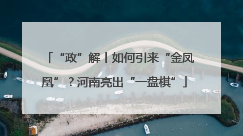 “政”解丨如何引来“金凤凰”？河南亮出“一盘棋”