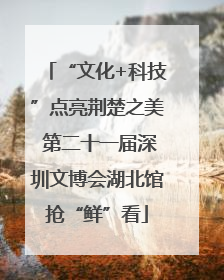 “文化+科技”点亮荆楚之美 第二十一届深圳文博会湖北馆抢“鲜”看