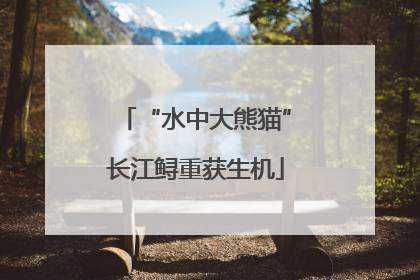 “水中大熊猫”长江鲟重获生机
