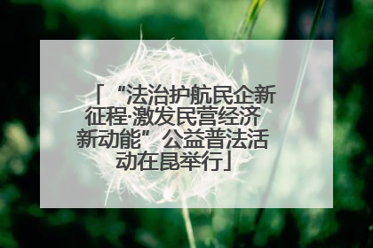 “法治护航民企新征程·激发民营经济新动能”公益普法活动在昆举行