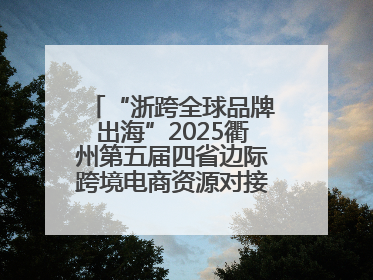 “浙跨全球品牌出海”2025衢州第五届四省边际跨境电商资源对接活动成功举办