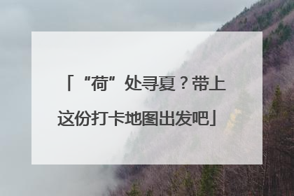 “荷”处寻夏？带上这份打卡地图出发吧