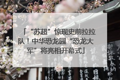“苏超”惊现史前拉拉队！中华恐龙园“恐龙大军”将亮相开幕式