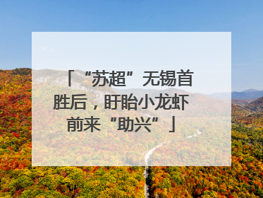 “苏超”无锡首胜后，盱眙小龙虾前来“助兴”