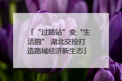 “过路站”变“生活圈” 湖北交投打造路域经济新生态