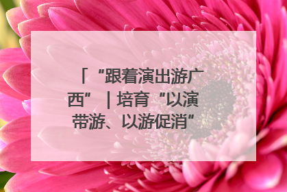“跟着演出游广西”｜培育“以演带游、以游促消”文旅消费新生态