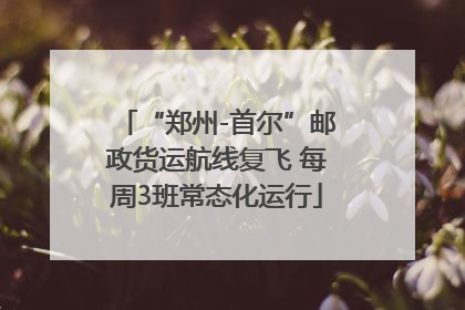 “郑州-首尔”邮政货运航线复飞 每周3班常态化运行