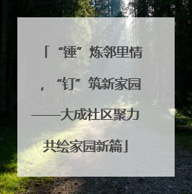 “锤”炼邻里情，“钉”筑新家园——大成社区聚力共绘家园新篇