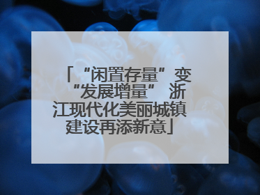 “闲置存量”变“发展增量” 浙江现代化美丽城镇建设再添新意